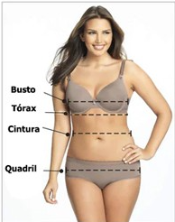 Manequim mostrando linhas de medição ao redor do corpo